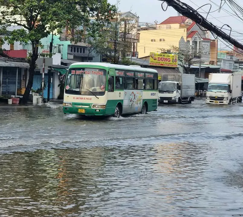 Hình ảnh 3