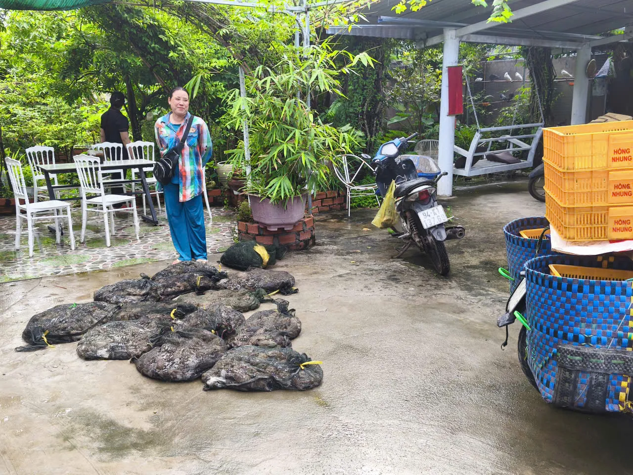 Hình ảnh 6