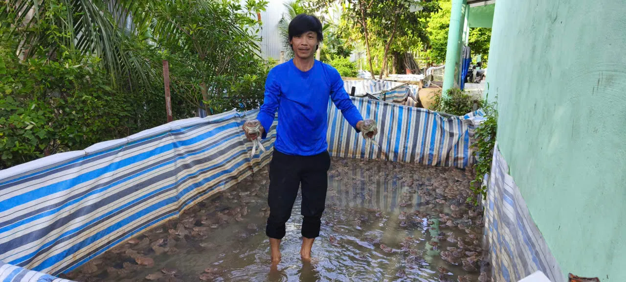 Hình ảnh 1