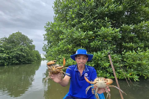 Bài 3: Tháo gỡ khó khăn, định hướng phât triển cho nghề nuôi cua
