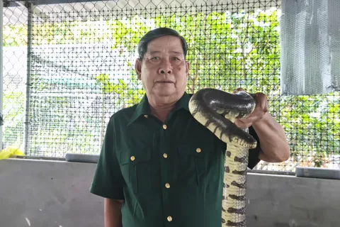 Những cựu chiến binh biệt động Cà Mau xứng danh Bộ đội Cụ Hồ