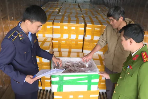 Thanh Hóa: phát hiện, thu giữ hơn 10 tấn cá khoai chứa chất cấm