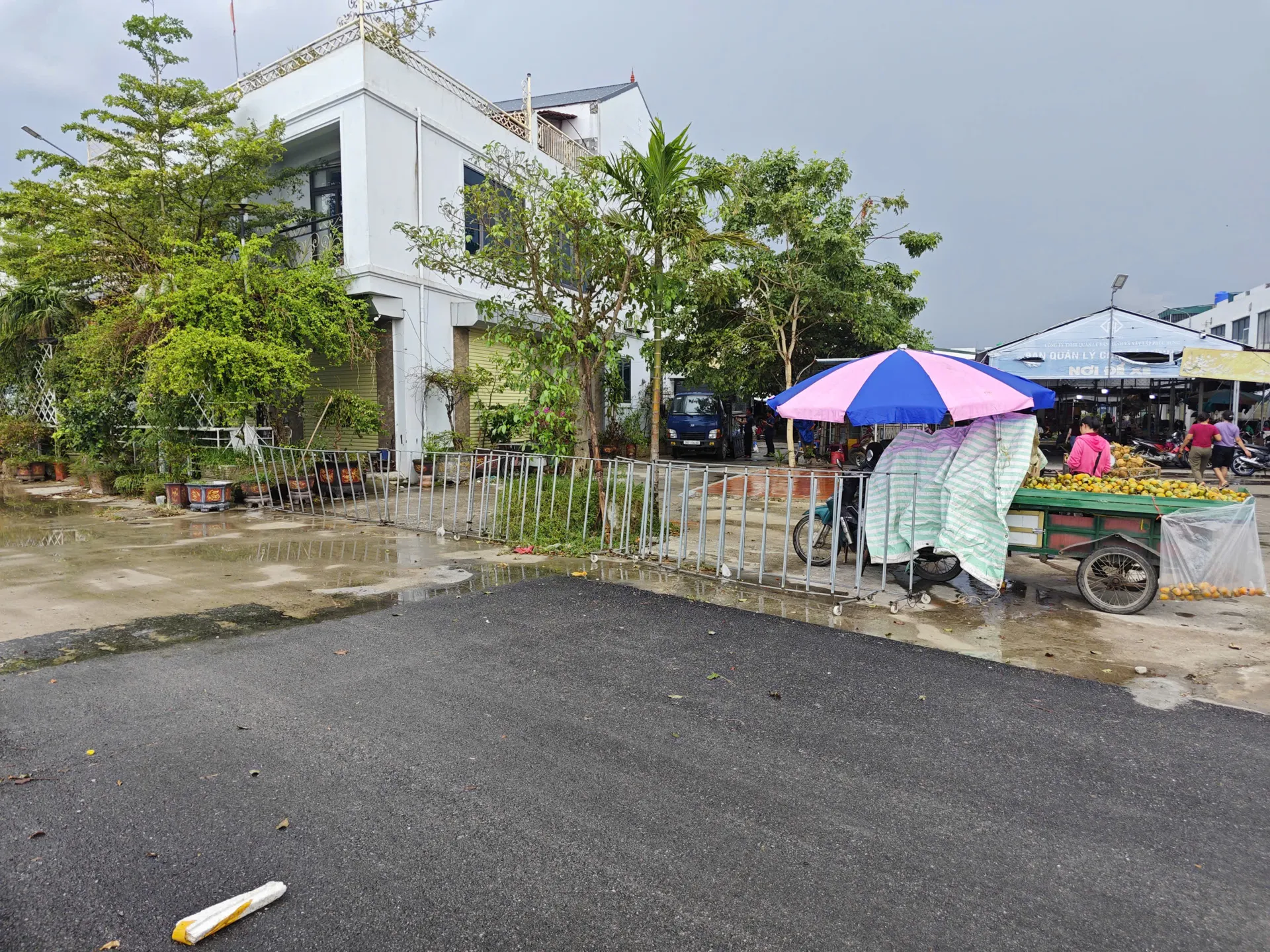 Hình ảnh 2