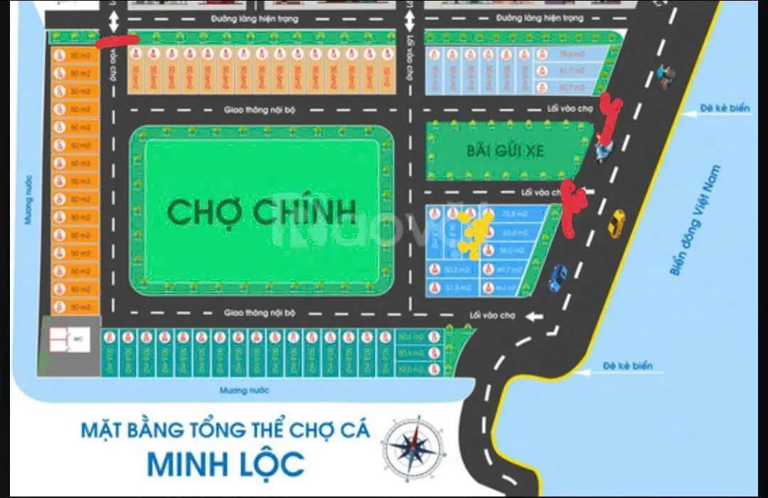 Hình ảnh 5