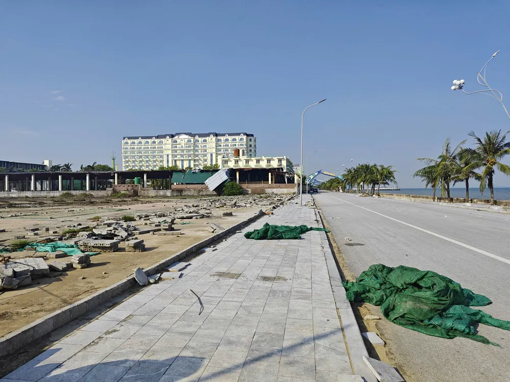 Hình ảnh 8