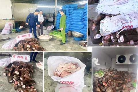 Thu giữ gần 6 tấn thực phẩm bẩn tại Thanh Hóa