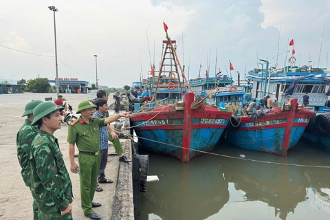 Thanh Hoá: gần 100% tàu thuyền đã vào nơi trú bão an toàn