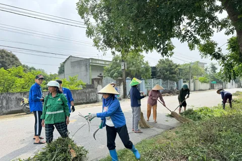 Thanh Hóa: khẩn trương dọn dẹp sau bão, sớm ổn định cuộc sống