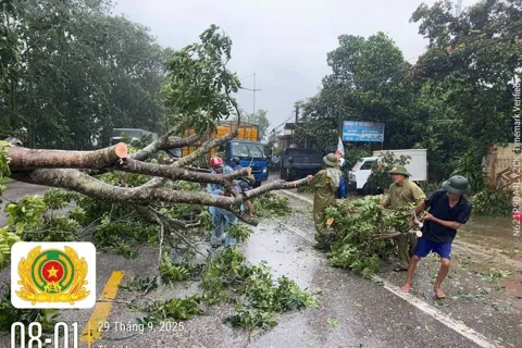 Thanh Hóa: Bí thư thôn tử vong do cây đổ khi đi trực bão số 10 
