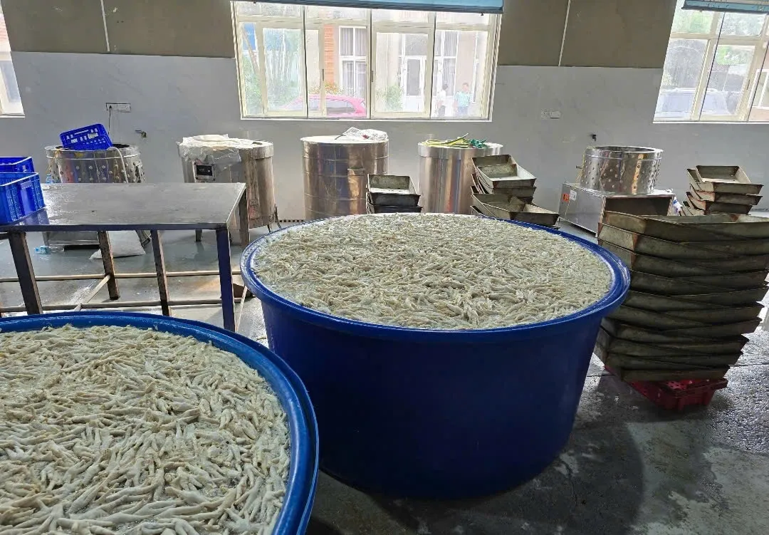 Hình ảnh 1