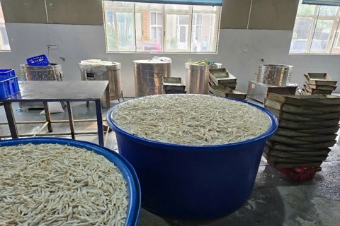 Tạm giữ 13 tấn chân gà ngâm hóa chất

