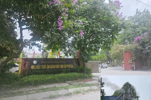 Công ty CP Nông sản Phú Gia bị yêu cầu khắc phục hàng loạt vi phạm môi trường