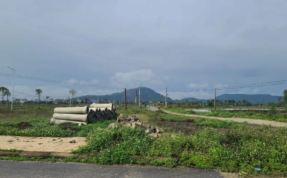 Hình ảnh 1