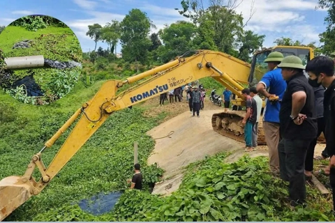 Trang trại lợn xả thải trái phép bị xử phạt hơn 1 tỷ đồng