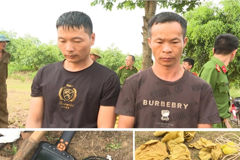 Khởi tố hai người Trung Quốc đào trộm lăng mộ vua Lê Túc Tông