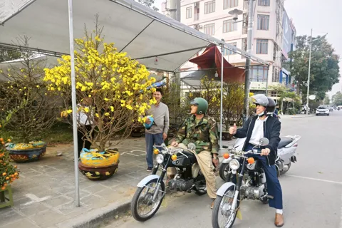 Sắc Xuân lan tỏa đô thị trung tâm xứ Thanh
