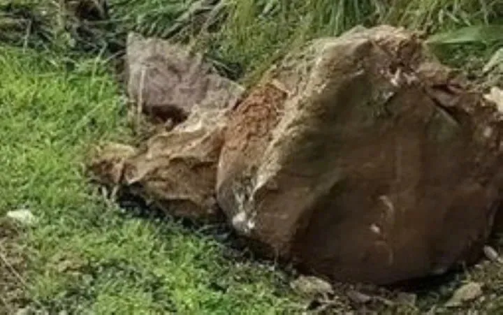 Đắk Lắk: đá lăn đè 2 cháu bé thương vong