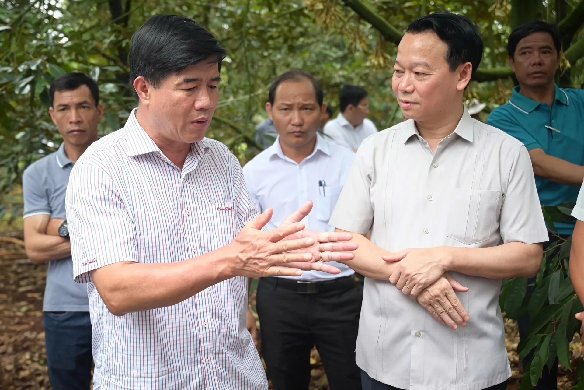 Hình ảnh 4