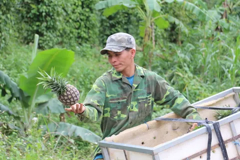 Xã Yang Mao (Đắk Lắk): niềm tin vẫn nảy mầm sau lũ dữ