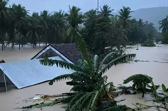 Đắk Lắk: sạt lở núi do mưa lớn ở phường Sông Cầu, một phụ nữ tử vong