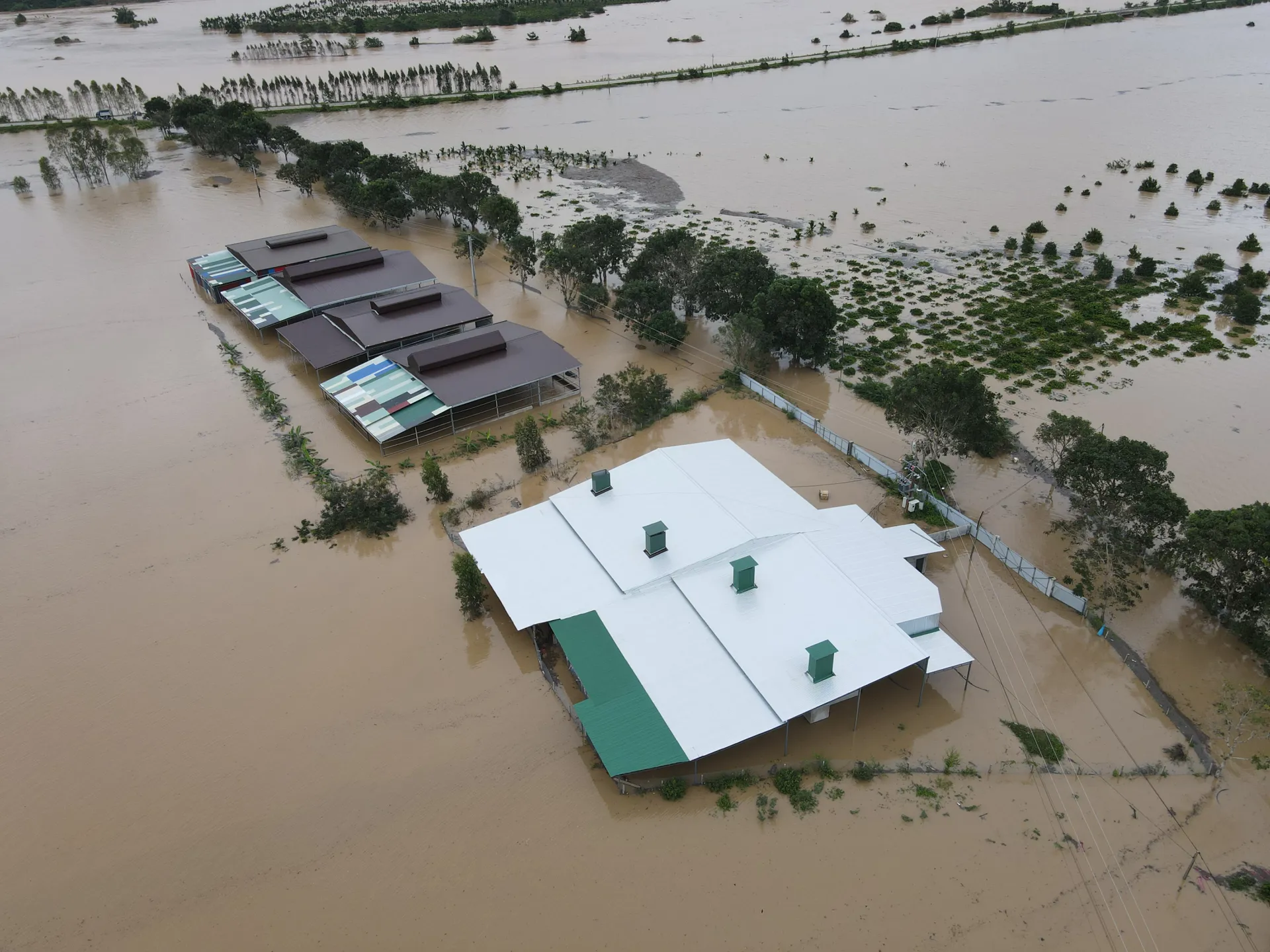 Đắk Lắk: lụt lịch sử tại xã Krông Bông và Cư Pui, nhiều nơi bị cô lập