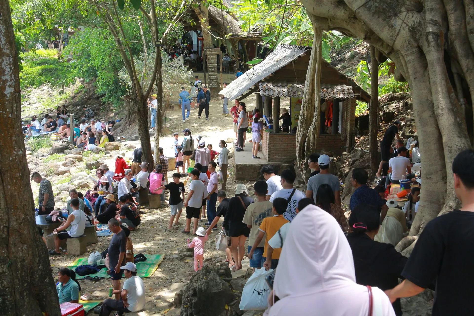 Hình ảnh 5