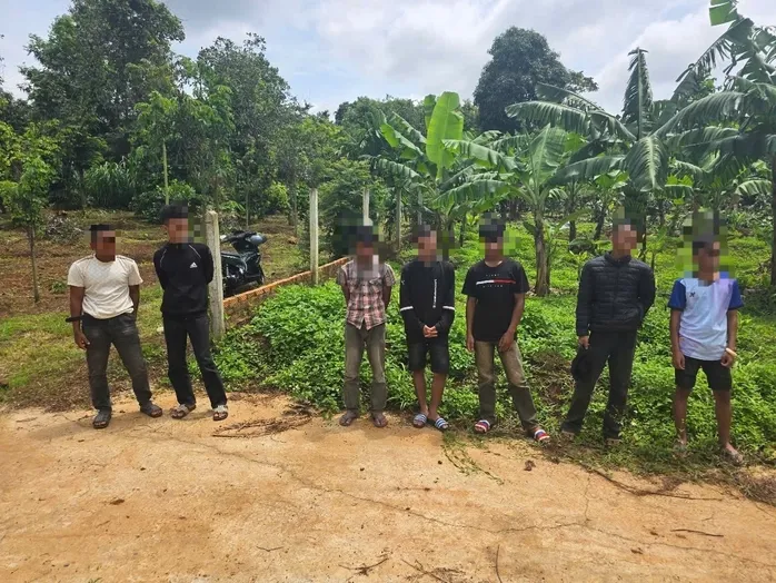 Đắk Lắk: khởi tố nhóm thanh, thiếu niên dàn cảnh cướp điện thoại lấy tiền ăn nhậu