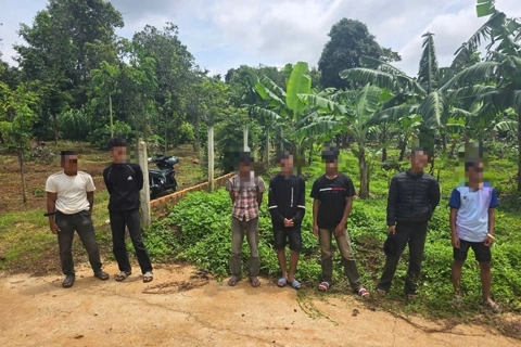 Đắk Lắk: khởi tố nhóm thanh, thiếu niên dàn cảnh cướp điện thoại lấy tiền ăn nhậu