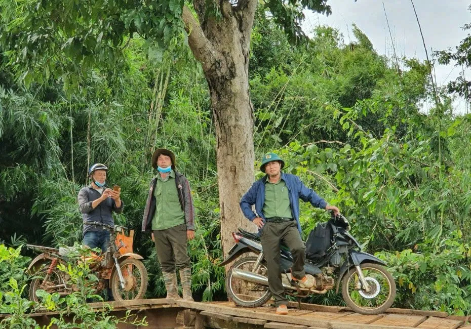 Hình ảnh 2