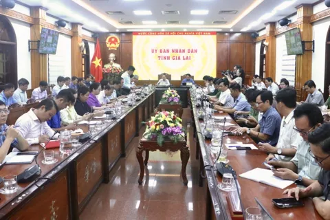 Gia Lai: nỗ lực ứng phó với bão số 13 giúp giảm thiểu thiệt hại về mọi mặt