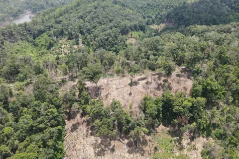 Đắk Lắk: khởi tố, bắt tạm giam Giám đốc Công ty lâm nghiệp Ea Kar