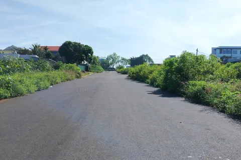 Gia Lai: kiên quyết cưỡng chế 2 hộ dân cuối cùng tại dự án đường Nguyễn Văn Linh