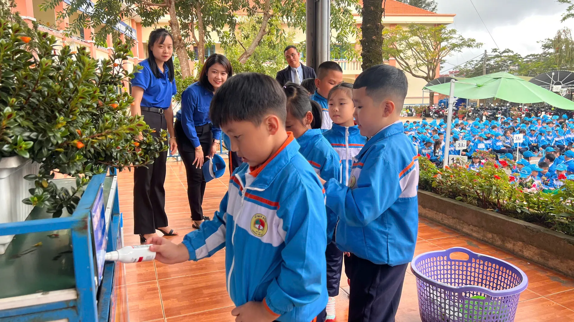 Hình ảnh 3