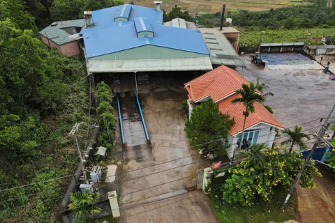 Gia Lai: khởi tố Giám đốc và thuộc cấp một công ty sản xuất cà phê giả