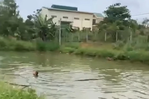 Đắk Lắk: hai cháu nhỏ chết đuối thương tâm dưới hồ nước tưới cà phê
