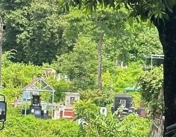 Đắk Lắk: phát hiện thi thể đang phân hủy tại nghĩa trang
