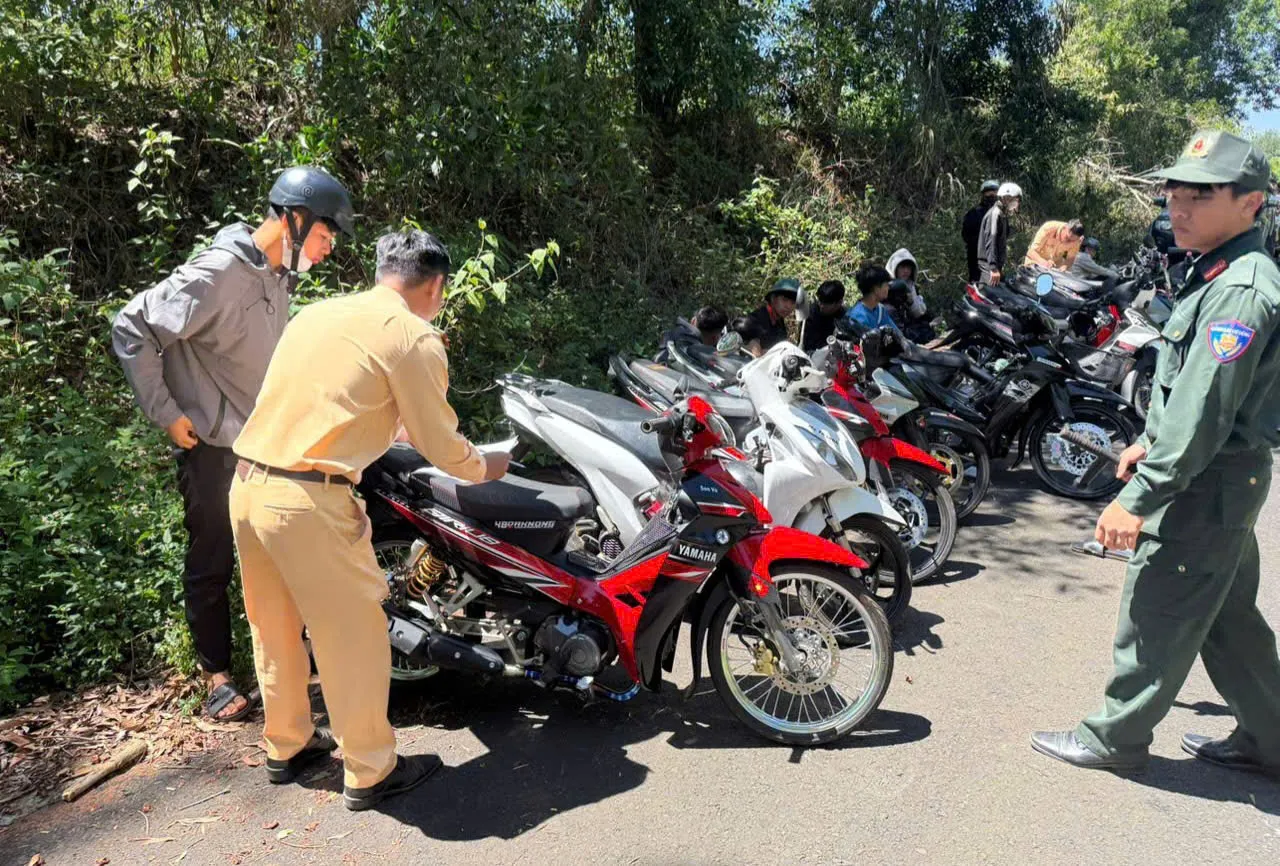Hình ảnh 2