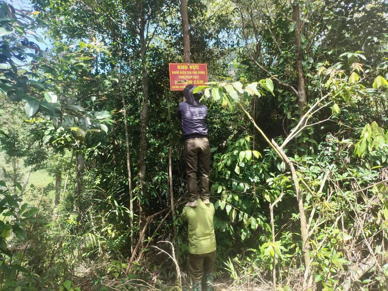 Hình ảnh 4