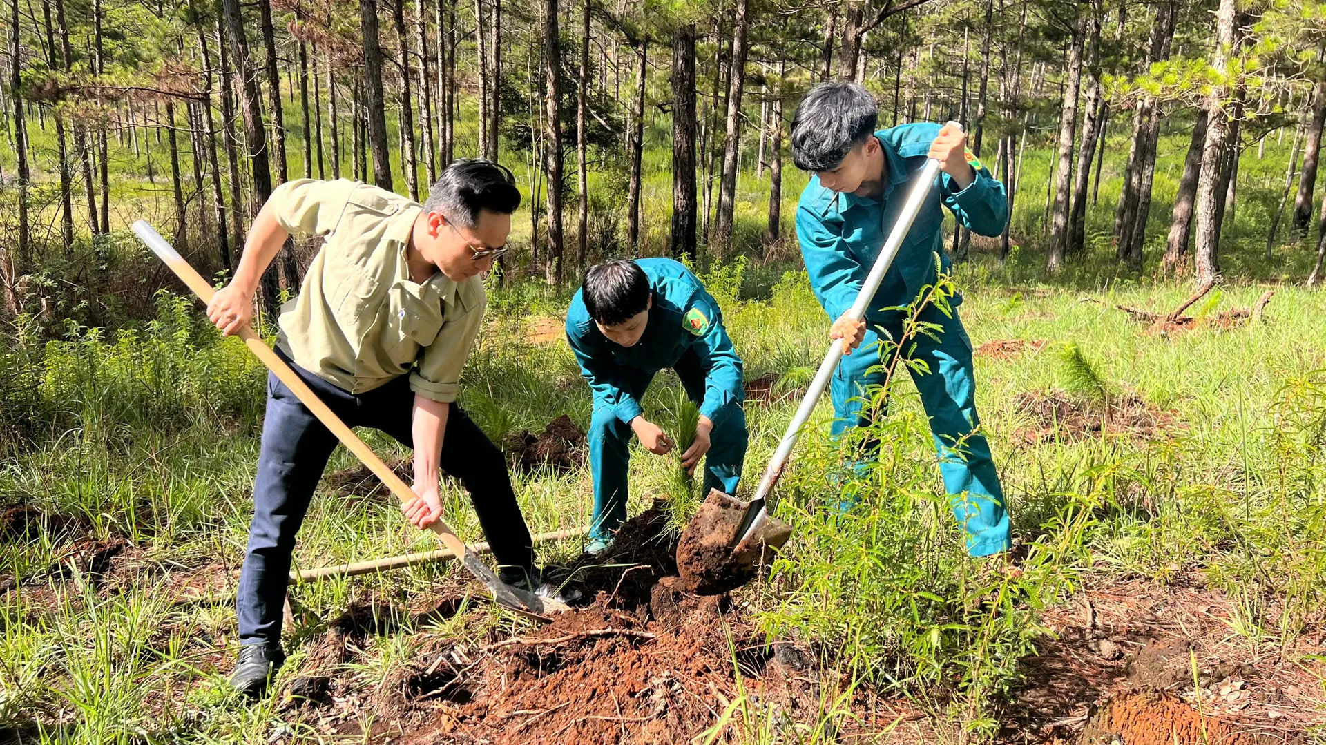 Đà Lạt: trên 500 đoàn viên thanh niên tham gia trồng cây phân tán
