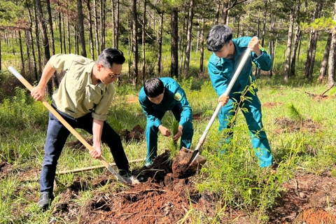 Đà Lạt: trên 500 đoàn viên thanh niên tham gia trồng cây phân tán