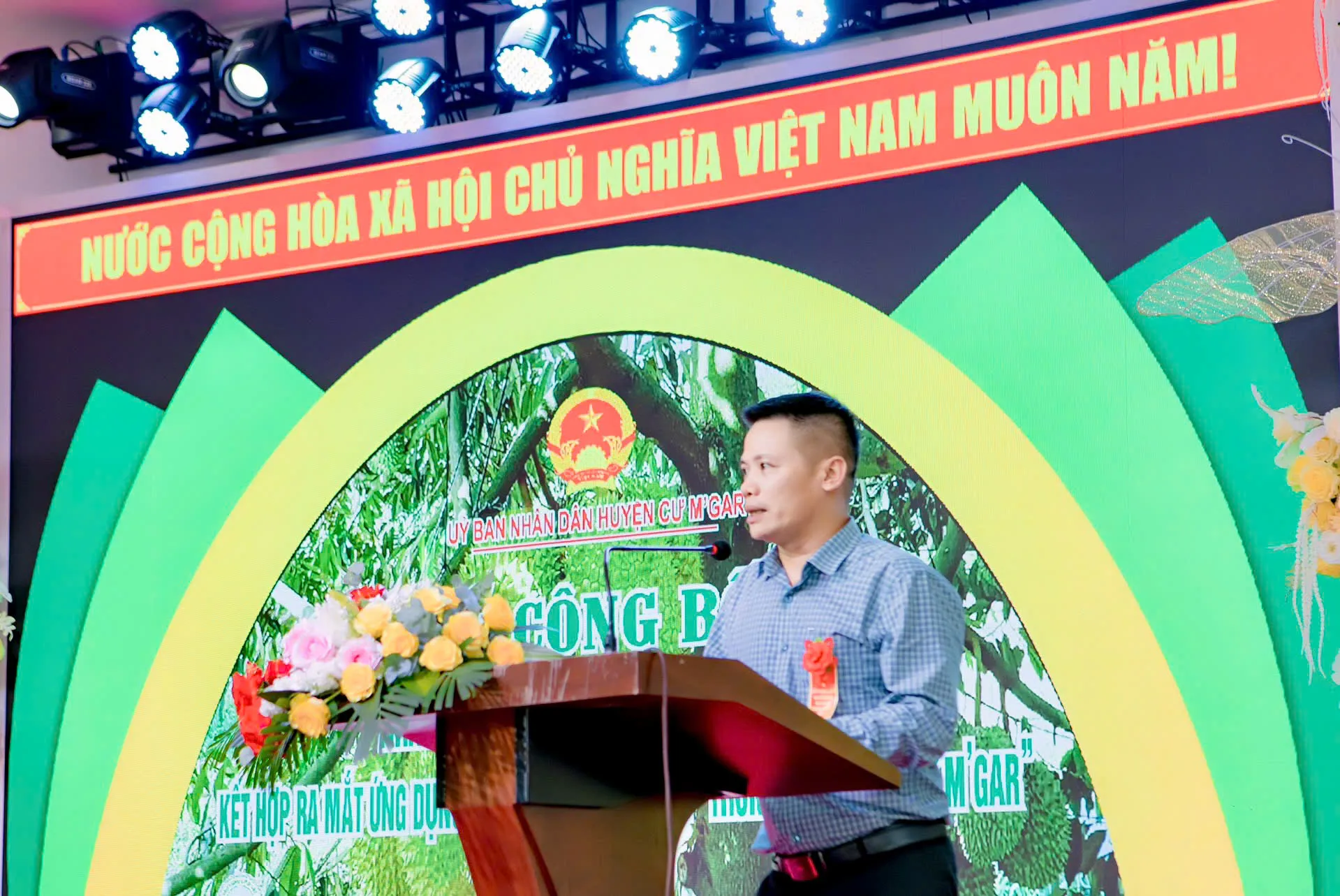 Hình ảnh 3