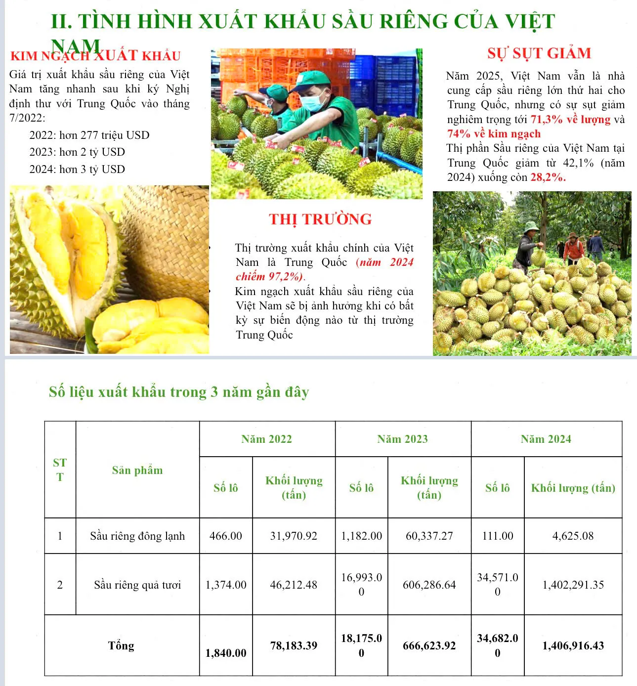 Hình ảnh 2
