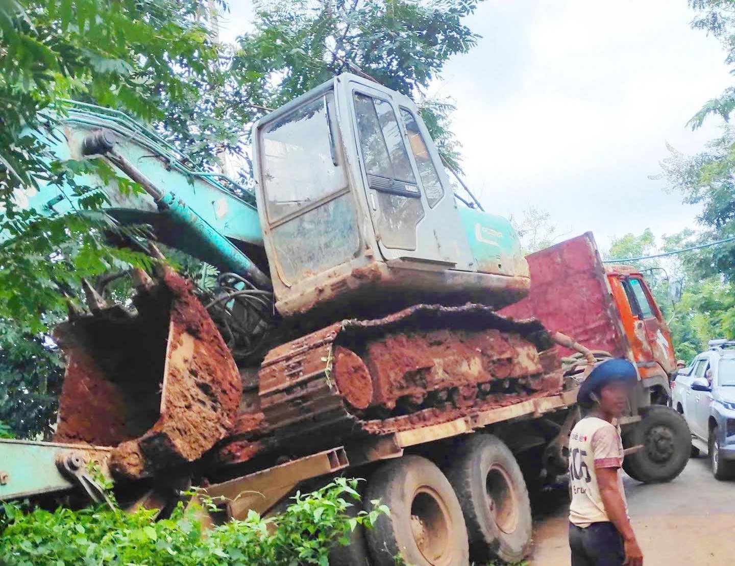 Gia Lai: xe tải mất phanh, 18 con bò bị tông chết