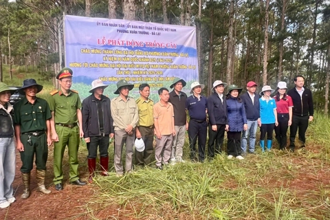 Lâm Đồng: trồng cây, gieo mầm tương lai xanh tại phường Xuân Trường - Đà Lạt