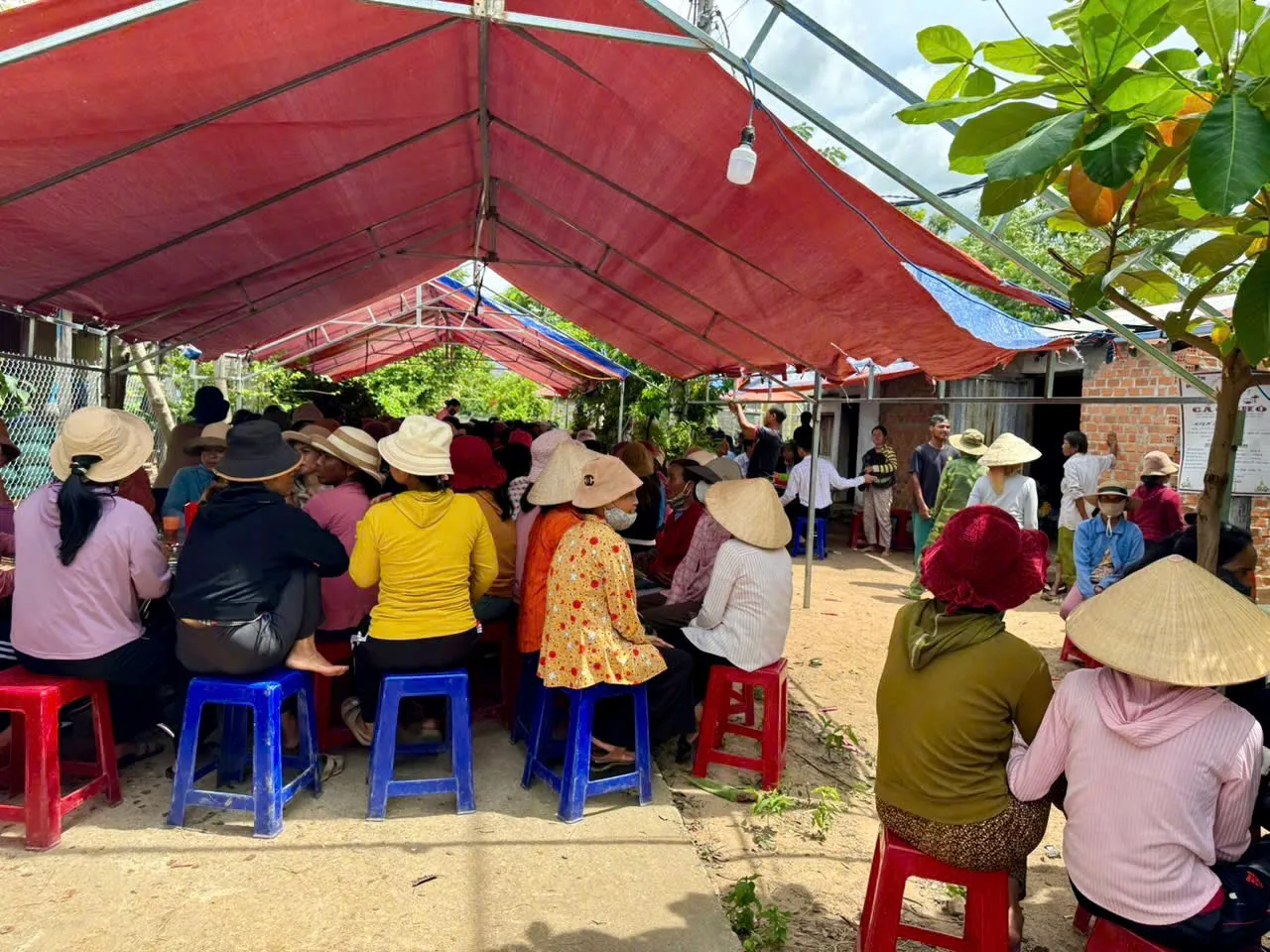 Gia Lai: đi bắt ốc tại suối, bé gái đuối nước thương tâm