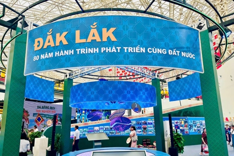 Sắc màu đại ngàn và khát vọng vươn xa