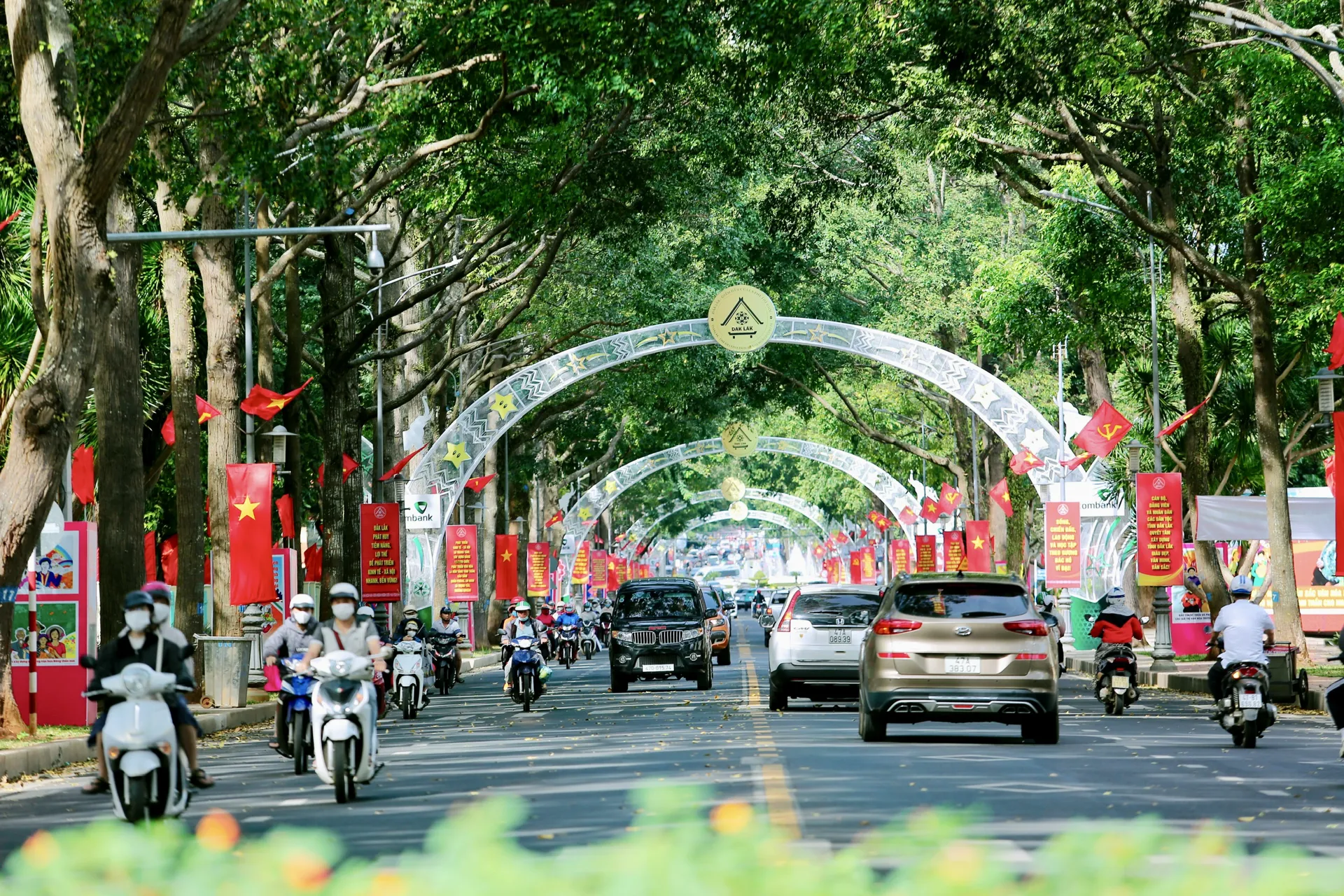 Hình ảnh 5