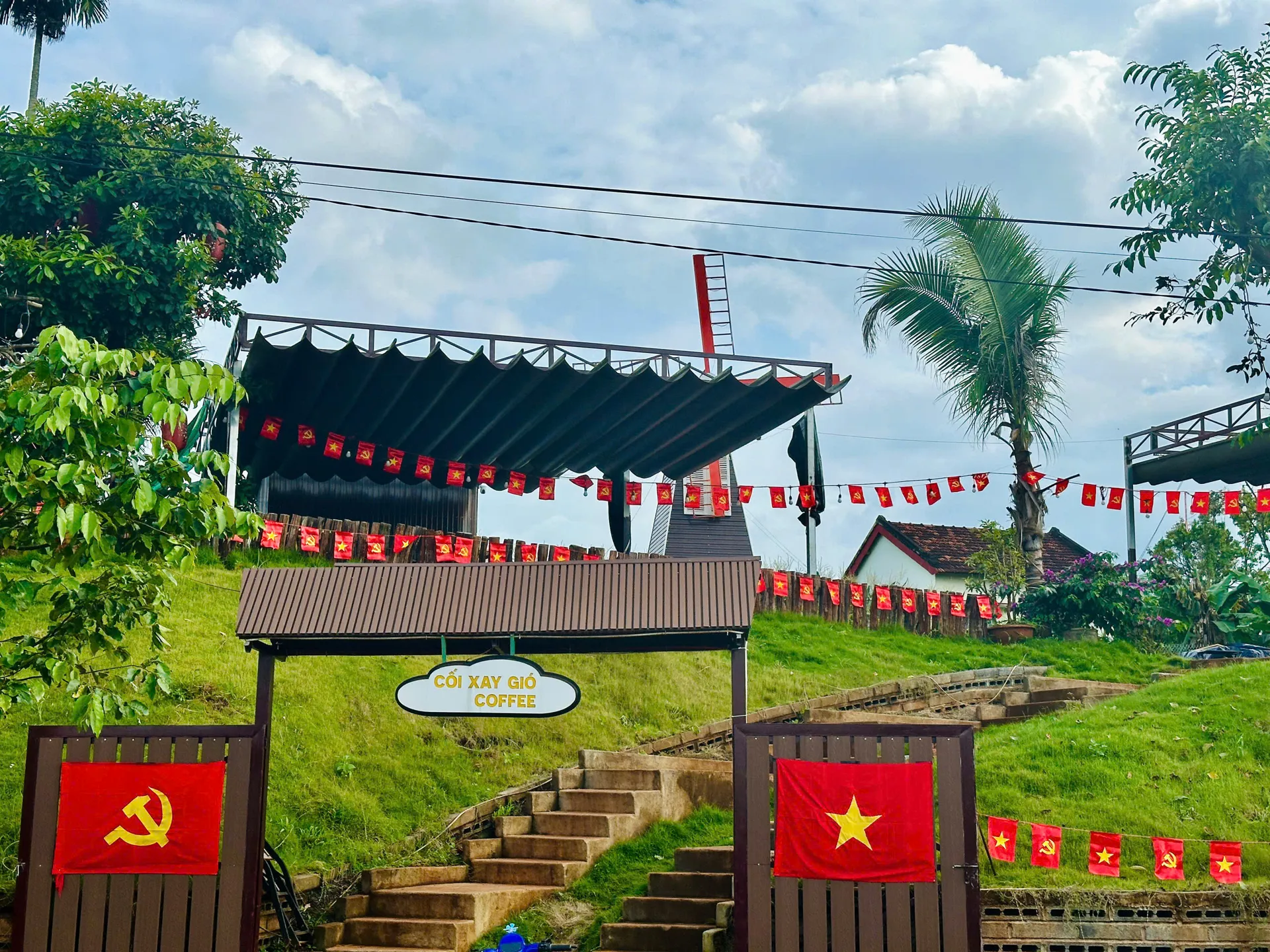 Hình ảnh 12