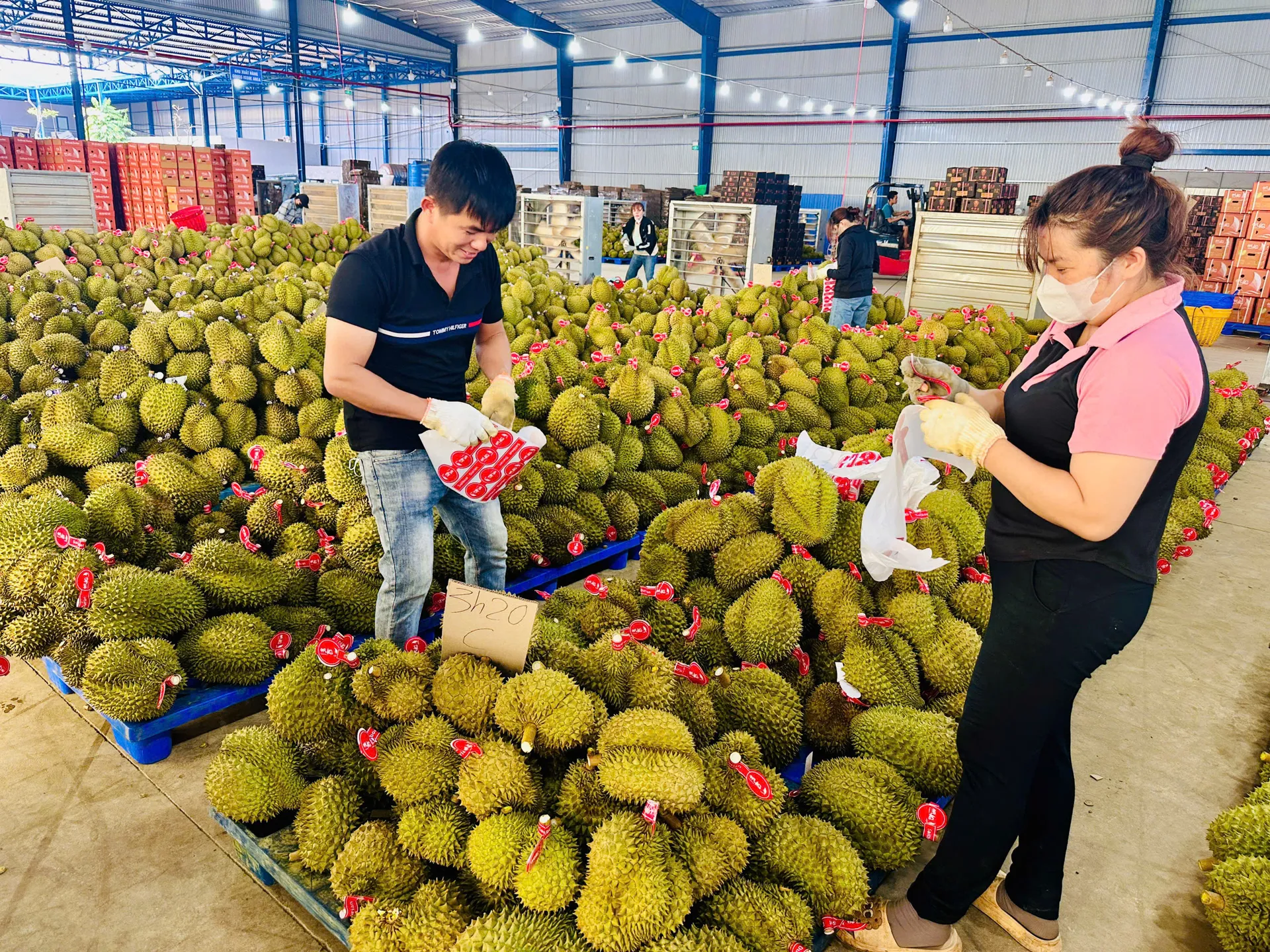 Hình ảnh 6
