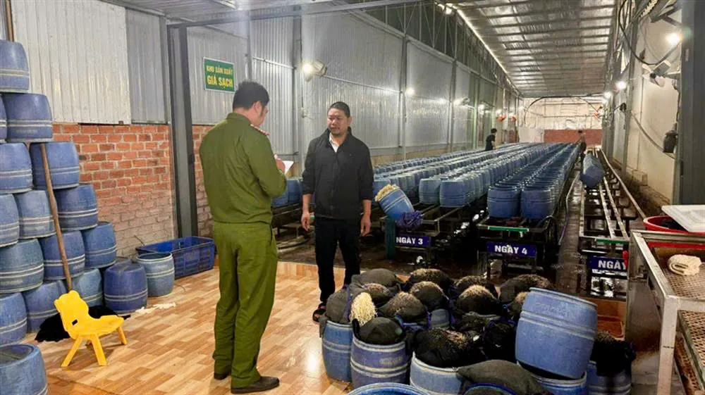 Đắk Lắk: tuyên án 4 bị cáo sản xuất giá đỗ bằng hóa chất độc hại
